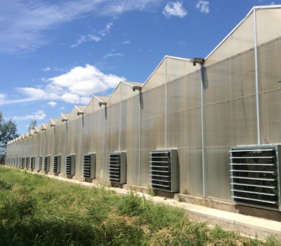 陽(yáng)光板溫室